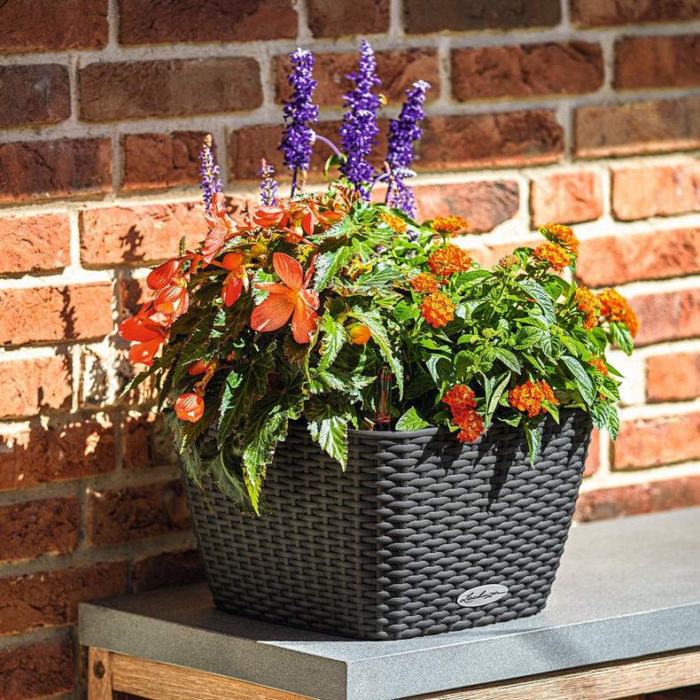 le_bacino-cottage_product_addi_02